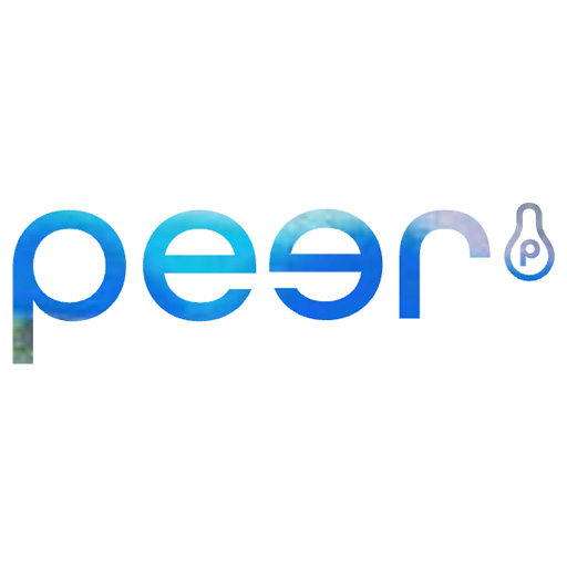 Peer Accountants Amsterdam BV